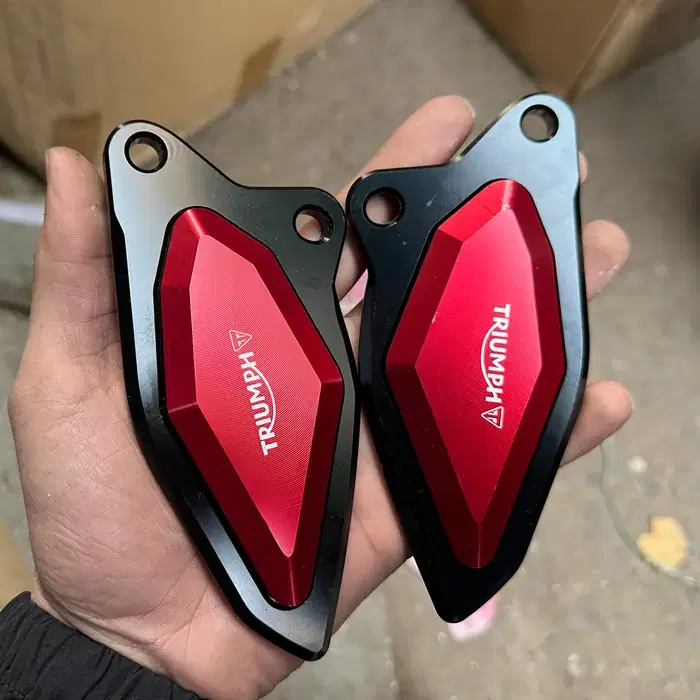 Fishpatti Triumph Daytona 660