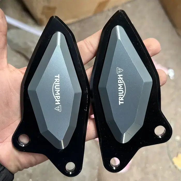 Fishpatti Triumph Daytona 660