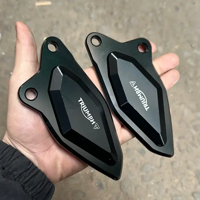 Fishpatti Triumph Daytona 660