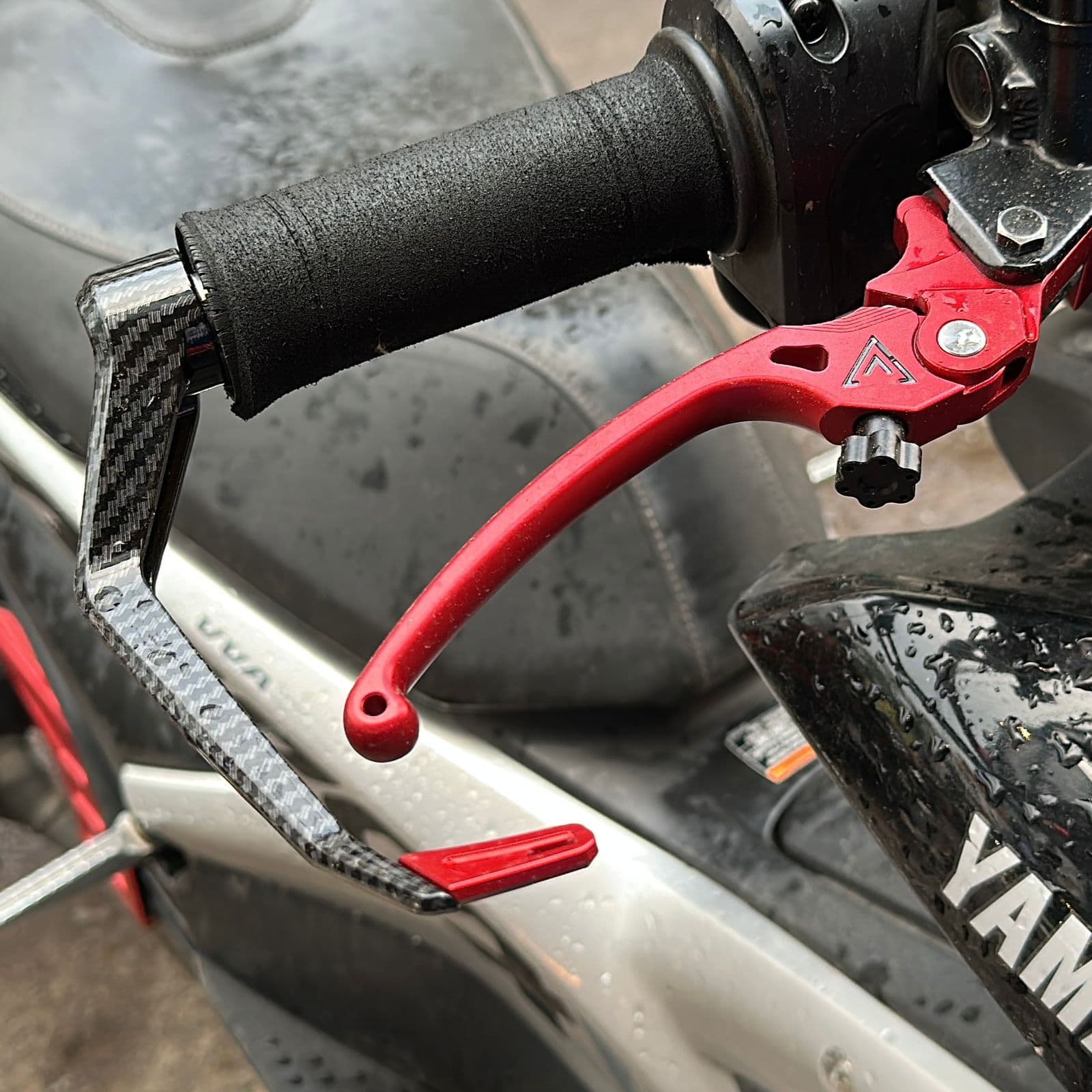 Lever Protector fauvism alpha carbon 