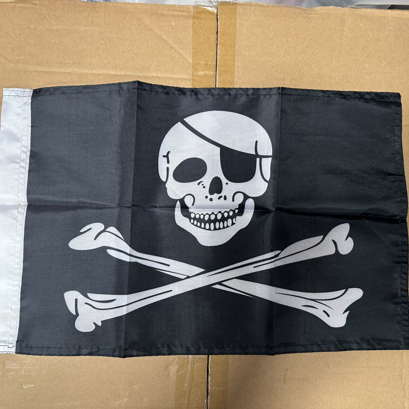 Ennorfigo Flag Poles with Camera Mounting Bracket and Detachable Lights Dual