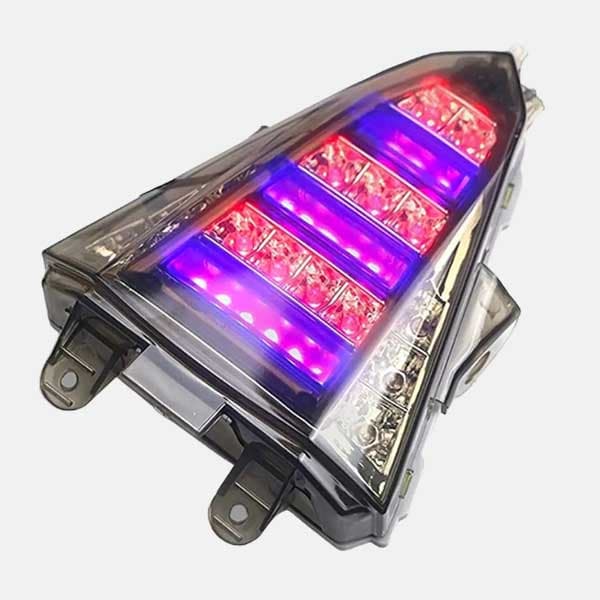 Tail Light With Indicator For R15 V2